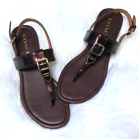 coach cassidy t strap sandal